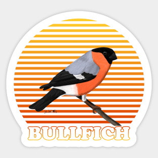 Bullfinch Bird Watching Birding Ornithologist Gift Sticker